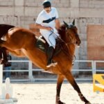 A thrilling equestrian show jumping competition featuring a skilled rider and horse in Riyadh, Saudi Arabia.